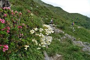 88 Al Passo di Valvedra (1849 m)
